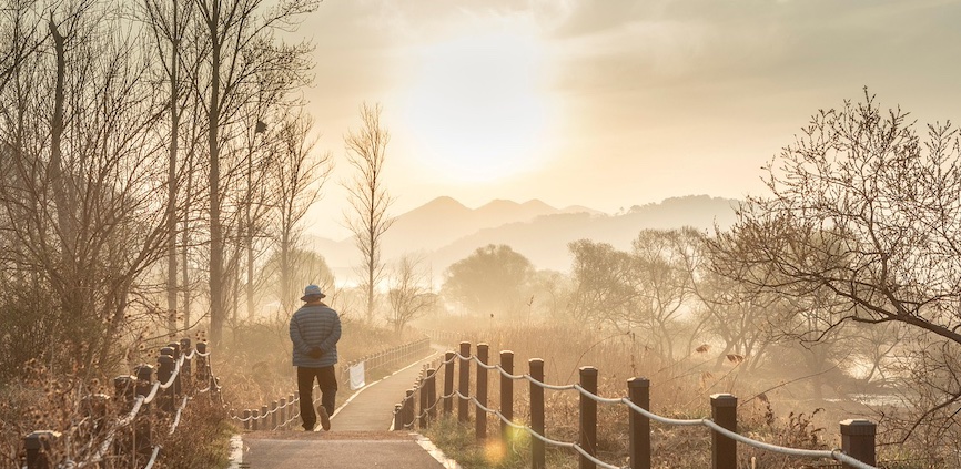 domena publiczna - Pixabay.com